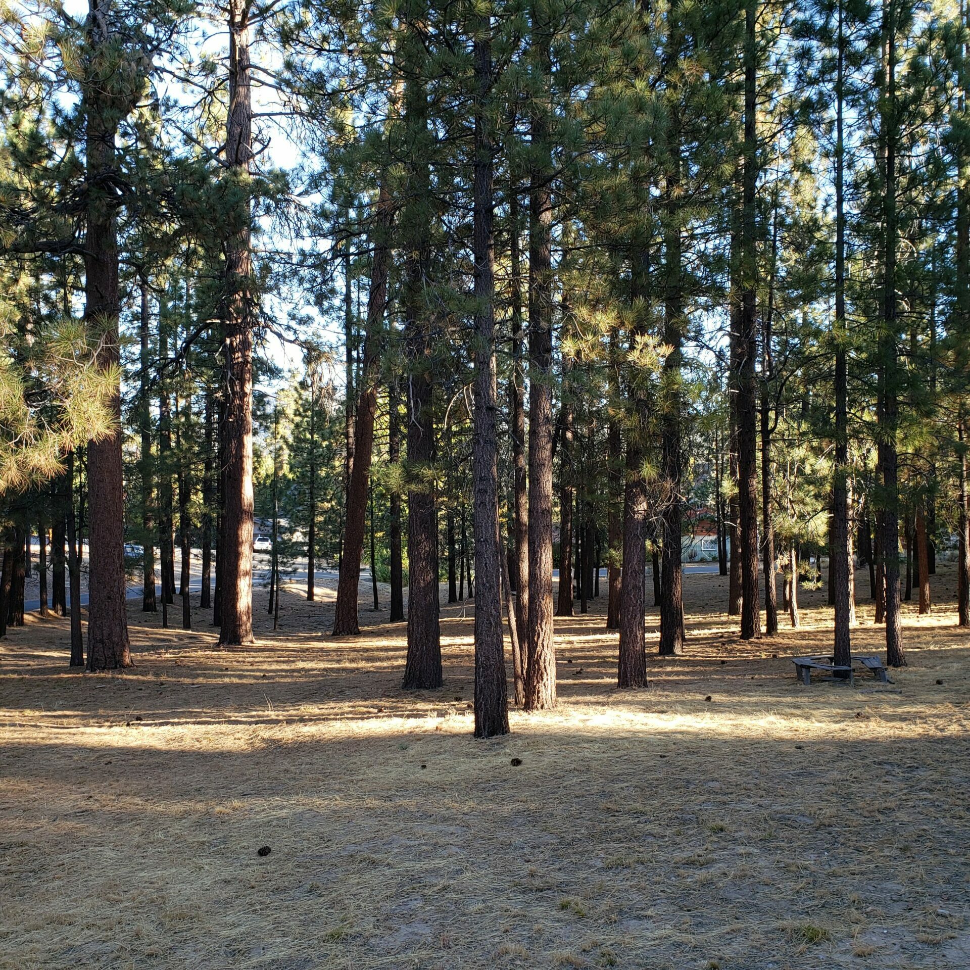 20191005_075748 2 Acres